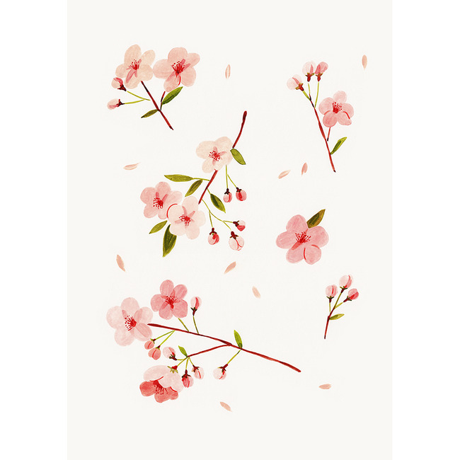 Cherry Blossom (Art Print)