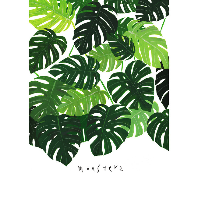몬스테라숲 (Art Print)