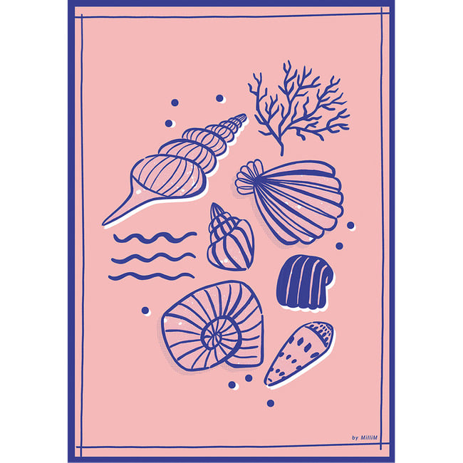 Seashells (Art Print)