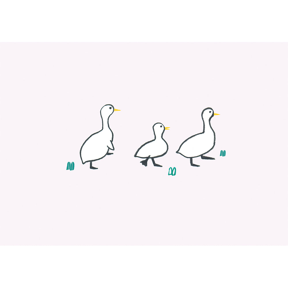 Duck Family (Art Print)