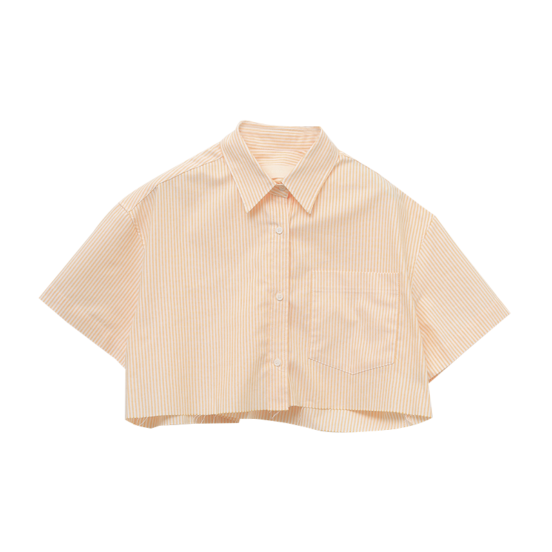 Raw Hem Stripe Crop Shirt