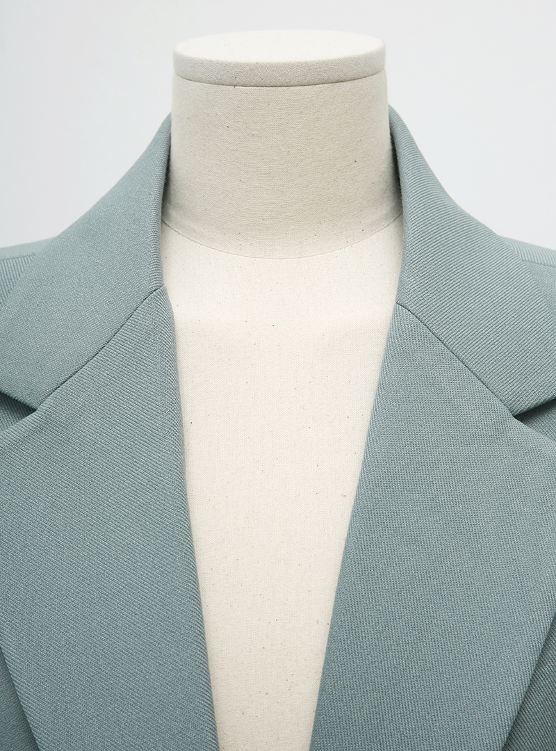 Solid Tone Single-Breasted Notched Collar Blazer