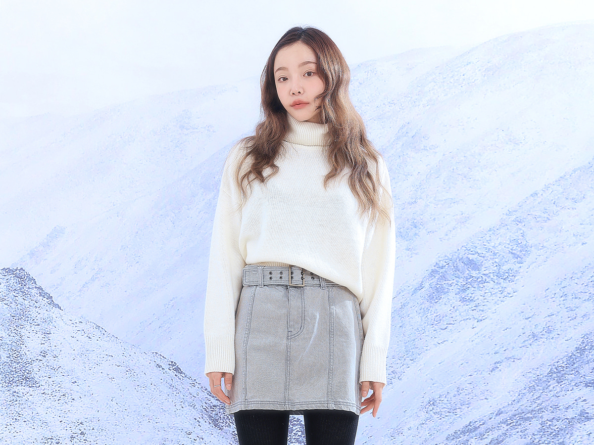Turtleneck Solid Tone Knit Top