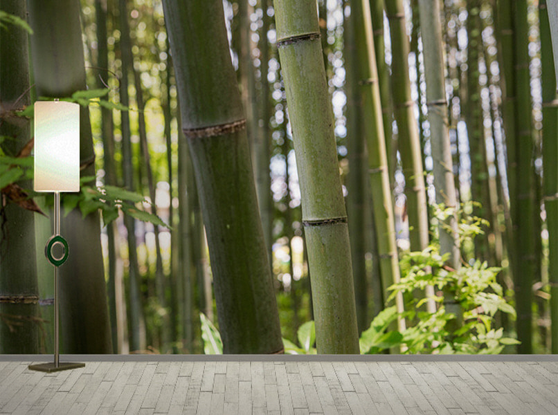 포토 벽지-17PH675 Japan 대나무 자연 숲 3폭(주문 제작도 가능)