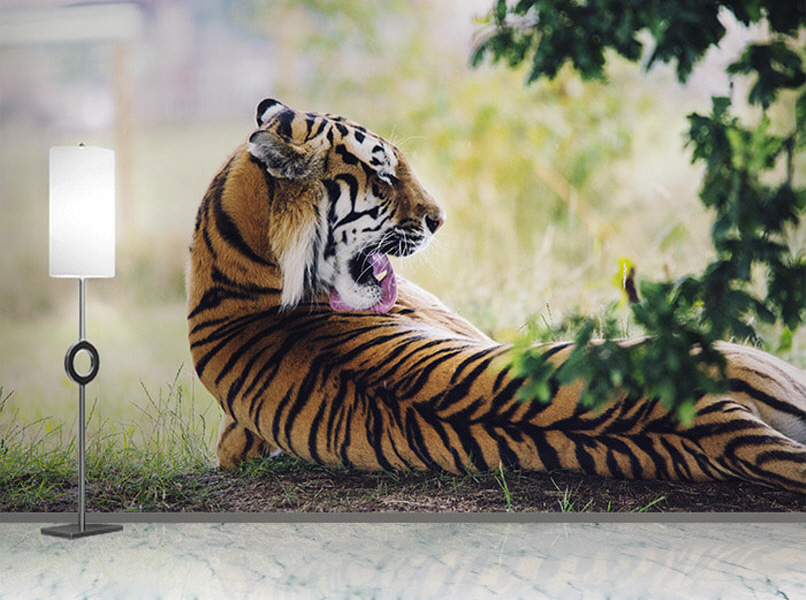 포토 벽지-17PH827 호랑이 Tiger 동물 3폭(주문 제작도 가능)