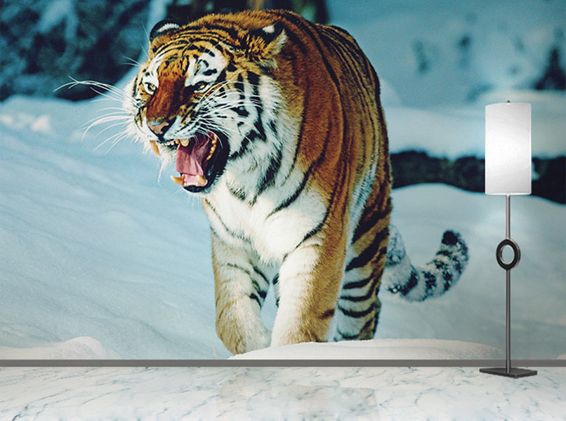 포토 벽지-17PH828 호랑이 Tiger 동물 사냥 눈 겨울 3폭(주문 제작도 가능)