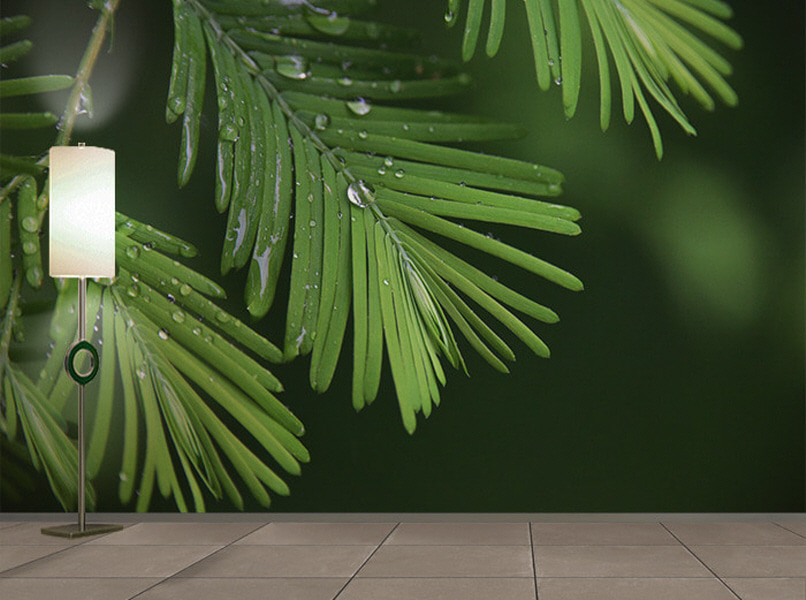 포토 벽지-17PH899 rain 빛방울 잎사귀 3폭(주문 제작도 가능)