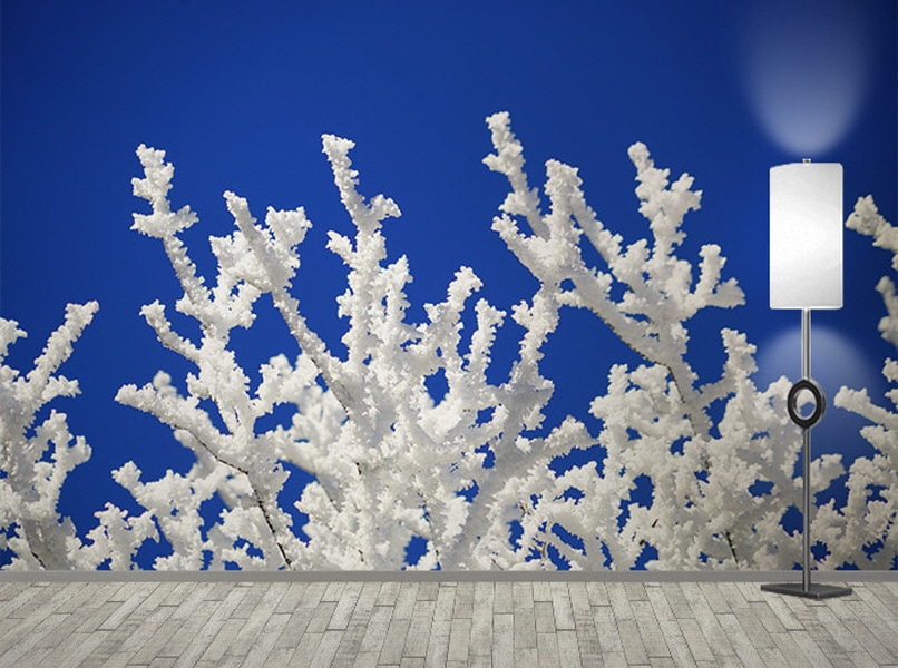 포토 벽지-17PH950 aesthetic 설경 눈꽃 snow tree 하늘 3폭(주문 제작도 가능)