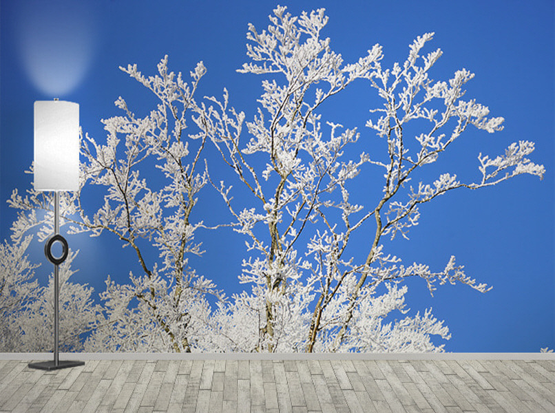 포토 벽지-17PH954 branches 설경 눈꽃 snow 3폭(주문 제작도 가능)