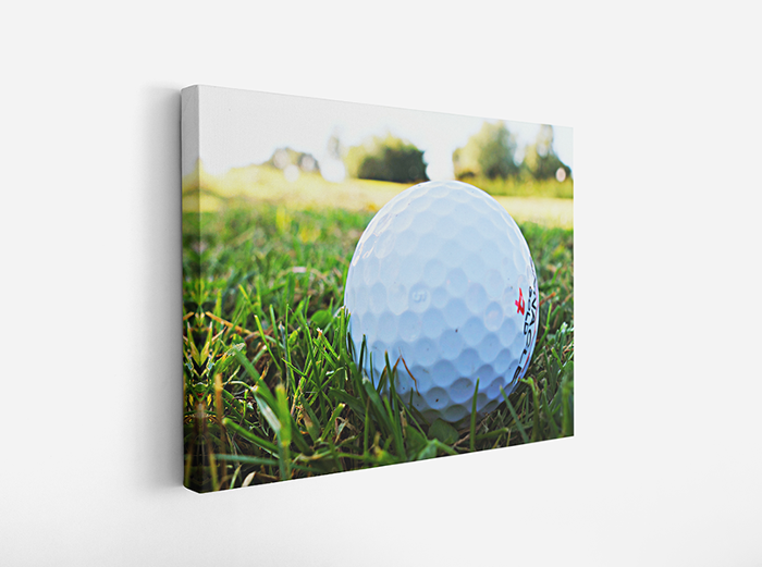 캔버스 액자(직사각)-17AF560 골프공 필드 스포츠