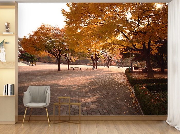 포토 벽지-IMG_1626 가을 가로수 낙엽 3폭(주문 제작도 가능)