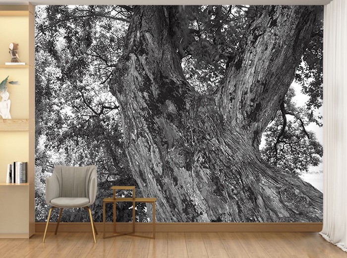 포토 벽지-12PH040 흑백 나무 3폭(주문 제작도 가능)