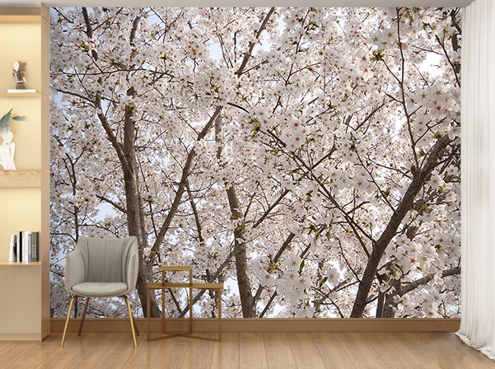 포토 벽지-IMG_2848 봄 나무 열매 꽃 3폭(주문 제작도 가능)