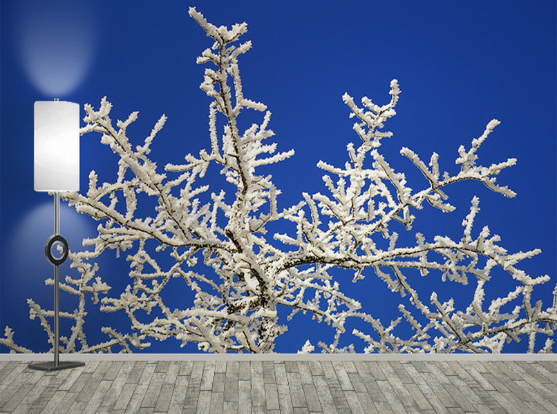 포토 벽지-17PH955 hoarfrost 설경 눈꽃 snow tree 하늘 3폭(주문 제작도 가능)