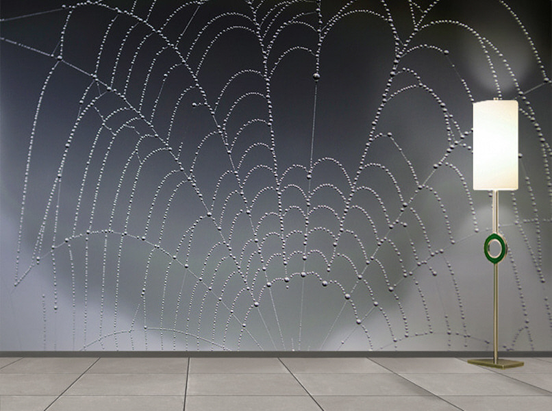 포토 벽지-17PH998 spider web 거미줄 새벽 이슬 곤충 3폭(주문 제작도 가능)