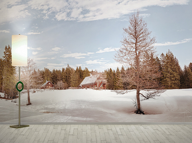 포토 벽지-17PH1226 wintry 겨울나무 나무가지 앙상한 설경 3폭(주문 제작도 가능)