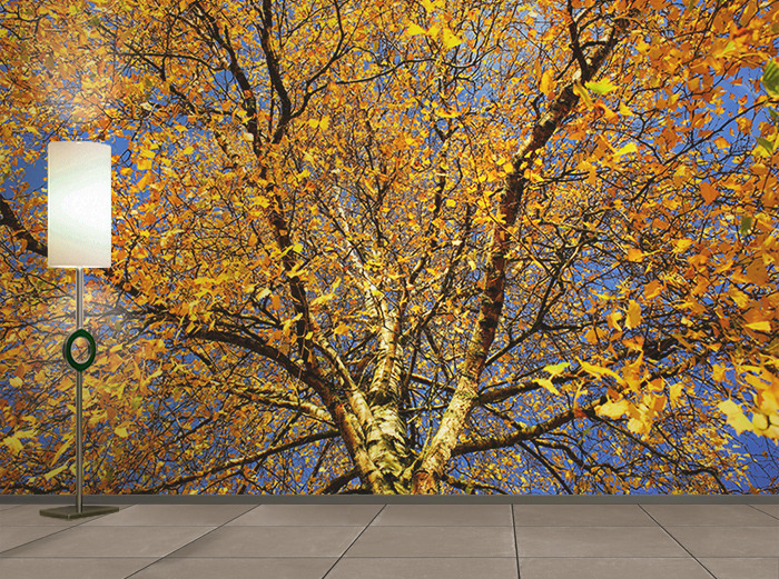 포토 벽지-18PH140 나무 가을 낙엽 3폭(주문 제작도 가능)