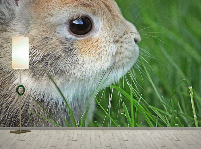 포토 벽지-18PH322 토끼 동물 귀여운 3폭(주문 제작도 가능)