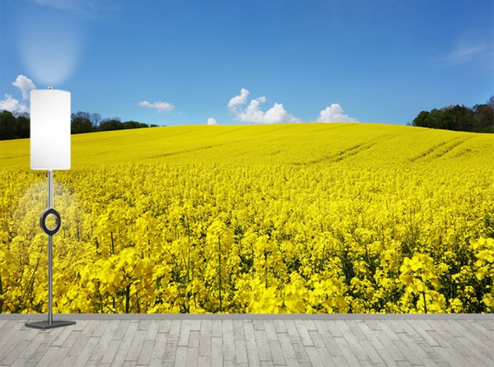 포토 벽지-21PH164- 유채꽃 노란색 자연 언덕 풍경