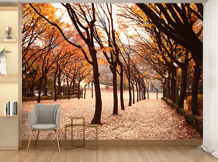 포토 벽지-IMG_1635 가을 가로수 낙엽 3폭(주문 제작도 가능)