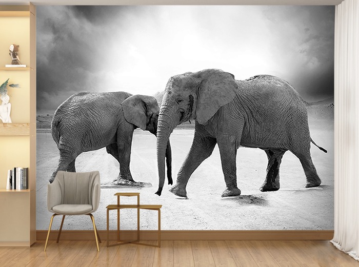 포토 벽지-17PH834 동물 코끼리 흑백 Elephant 3폭(주문 제작도 가능)