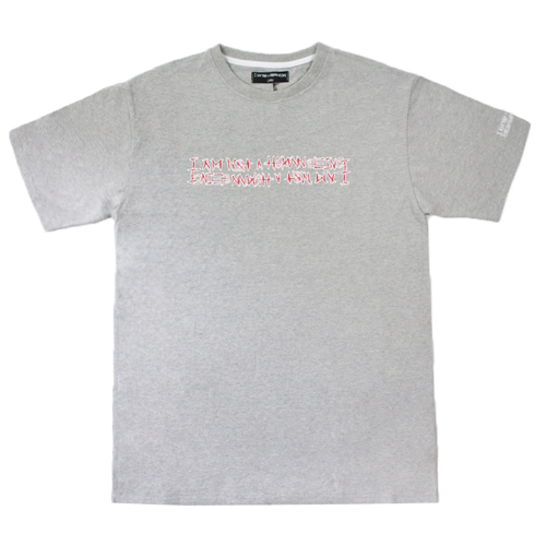 Red Basic Logo T-Shirts - Grey