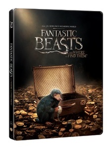 BLU-RAY / FANTASTIC BEASTS AND WHERE TO FIND THEM STEELBOOK LE (2D+3D)