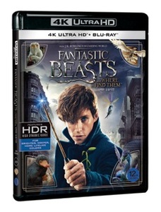 BLU-RAY / FANTASTIC BEASTS AND WHERE TO FIND THEM (2D+4K UHD)