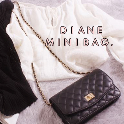 diane mini bag (cream,black) 블랙만 진행됩니다 ,제작판매 