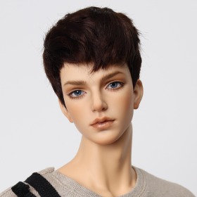 Mohair Short Cut_Dark Brown (for 1/4 size male only)