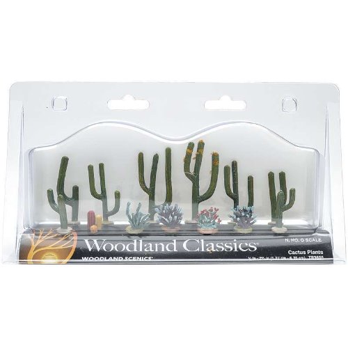 3600 Cactus Plants - 1/2&quot; - 2 1/2&quot;(선인장 1.2cm~8.5cm)