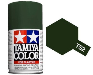 TS-2  dark green 캔스프레이