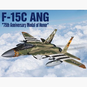 12582  1/72 F-15C 명예훈장 75주년
