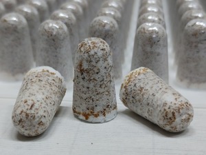 23년 고품질성형종균 (5장이상 구매)-느타리,표고,영지 국내최저가판매버섯종균