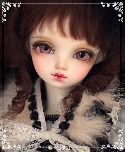Wednesday&#039;s Child Limited Daisy - For Christmas with Rosenlied