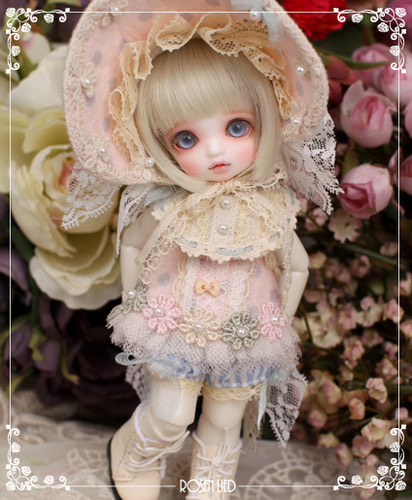 Monday&#039;s Child Limited Mango - For 5th Anniversary