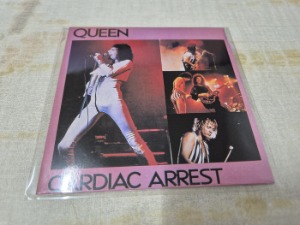 凛翔/クイーン CD ほぼほぼコンプリートセット 盤面良好 動作確認済み QUEEN - rzrecord