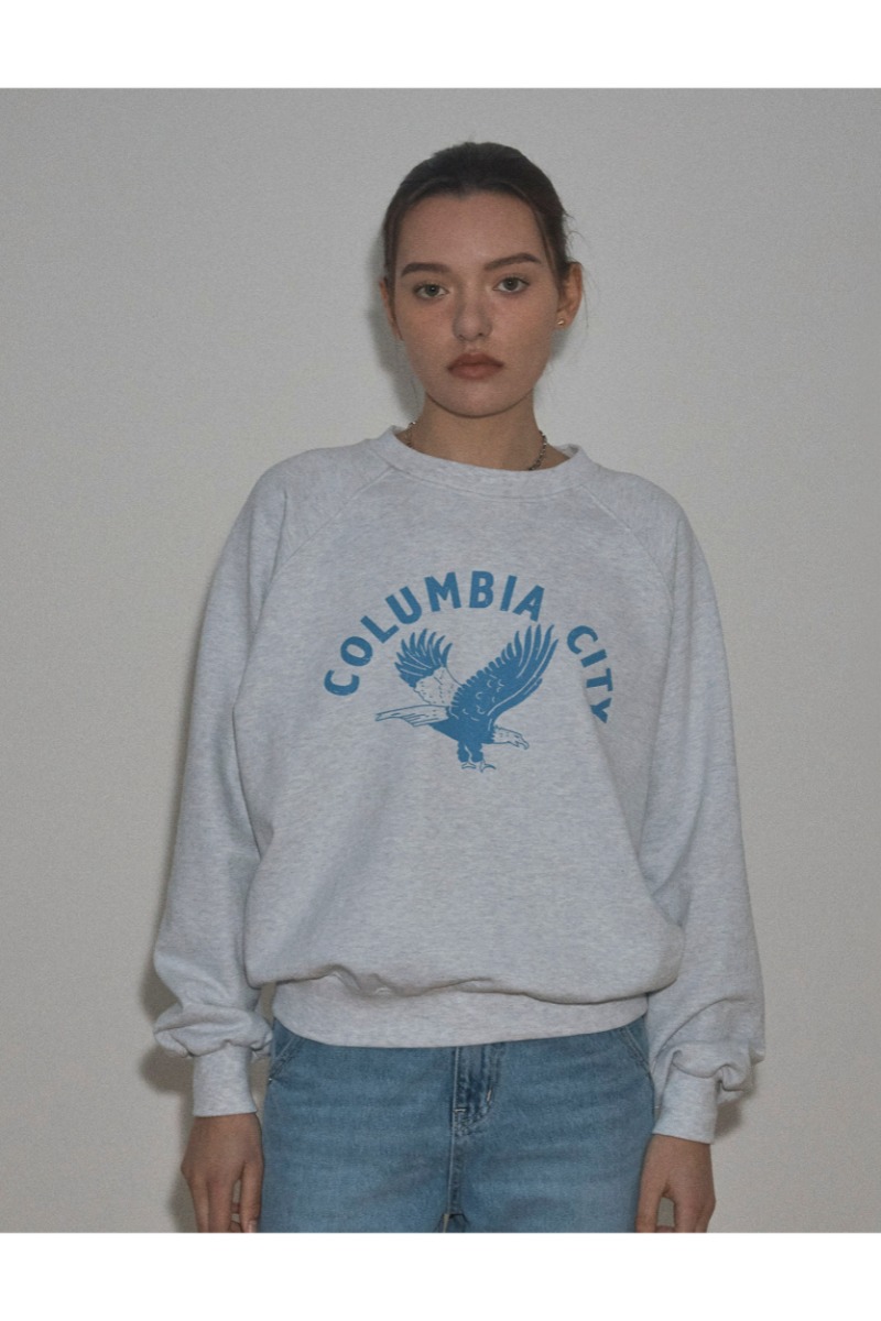 New Columbia Sweatshirt (Melange Gray)