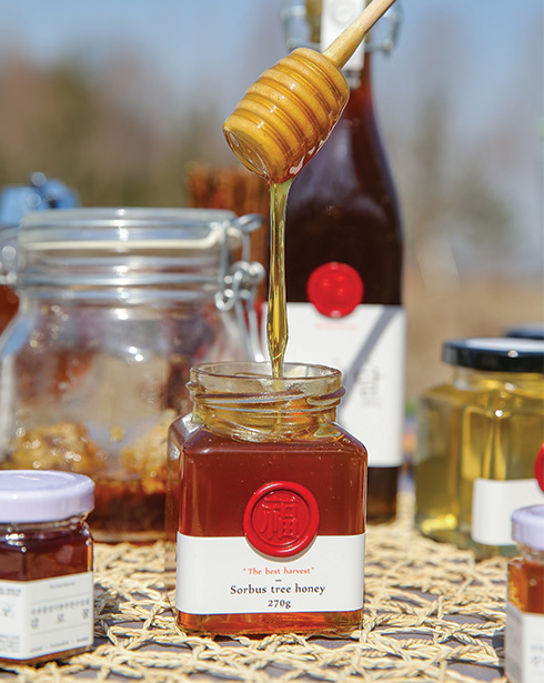 꿀 떨어지는 여름 준비, 꿀&amp;과일청 추천