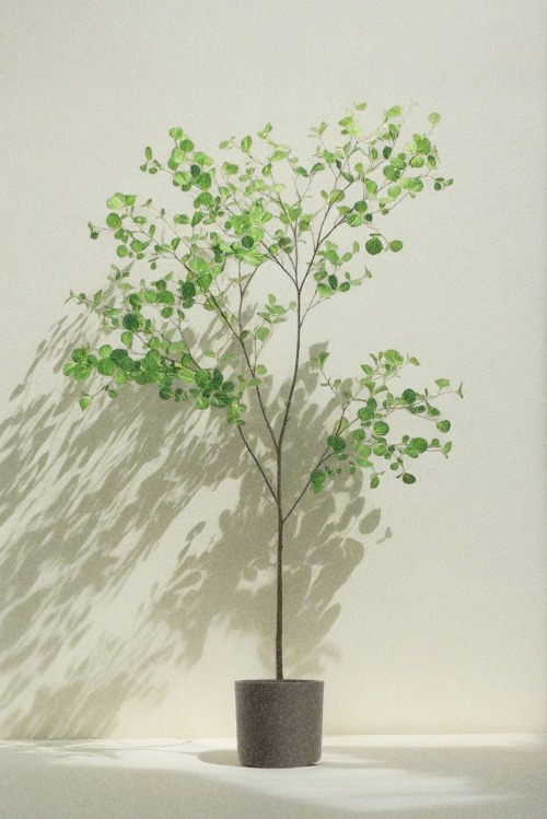 헤이즐넛 나무 조화 화분 180cm 대형 개암나무