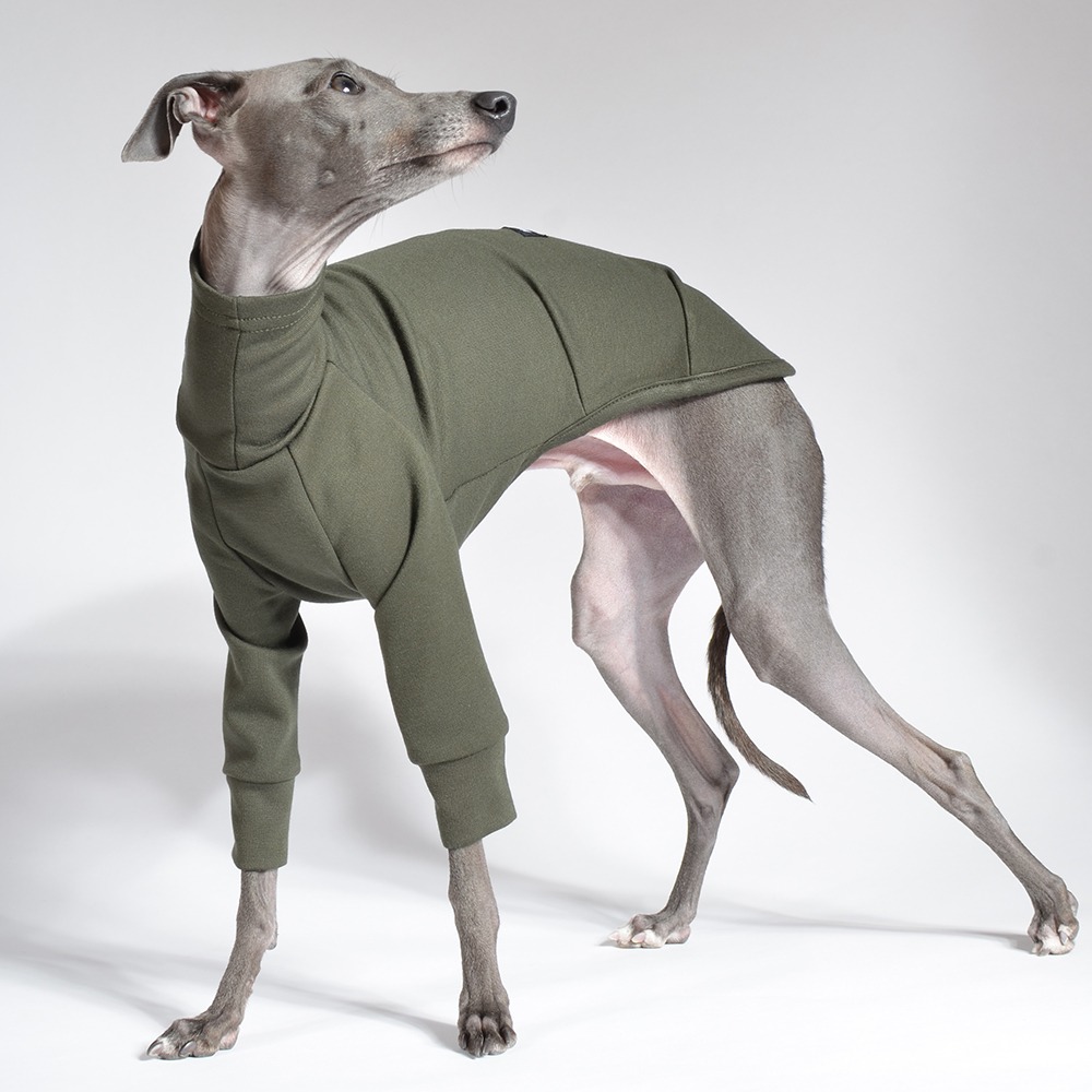 Engineered Fullover Sleeve Top ItalianGreyhound Wear