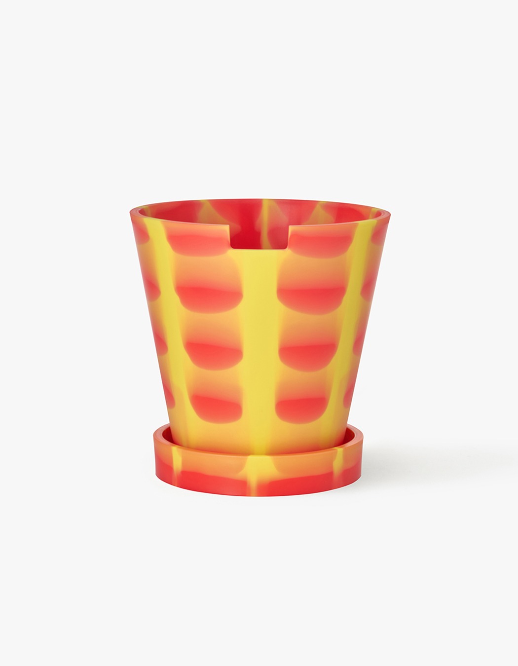 Plastic Ark | International Store