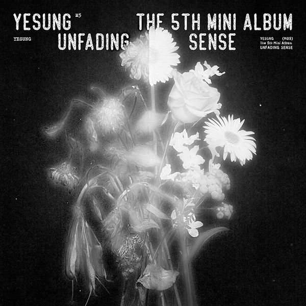 YESUNG - The 5th Mini Album [Unfading Sense] (Photo Book Ver.) (Random Ver.)케이팝스토어(kpop store)