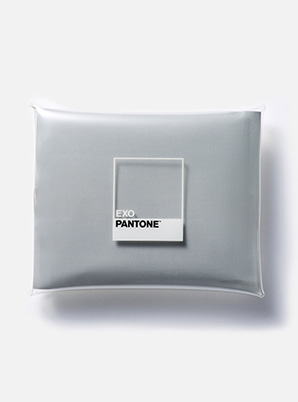 [PANTONE SALE] EXO  2019 SM ARTIST + PANTONE™ PVC POUCH