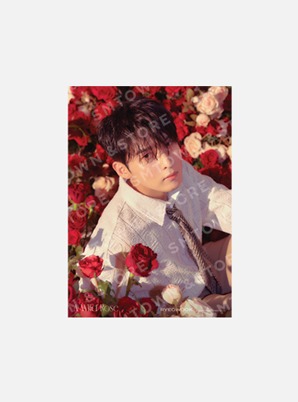RYEOWOOK A4 PHOTO - A Wild Rose