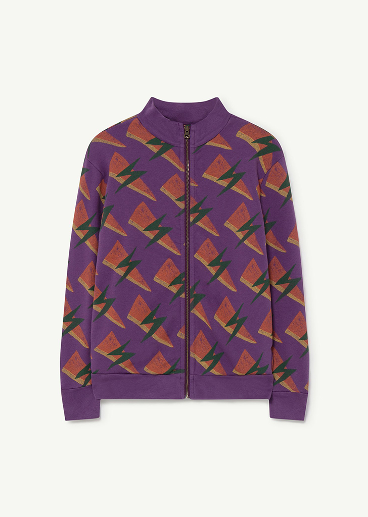 Zebra Kids Sweatshirt - Purple Lightning_259_AJ