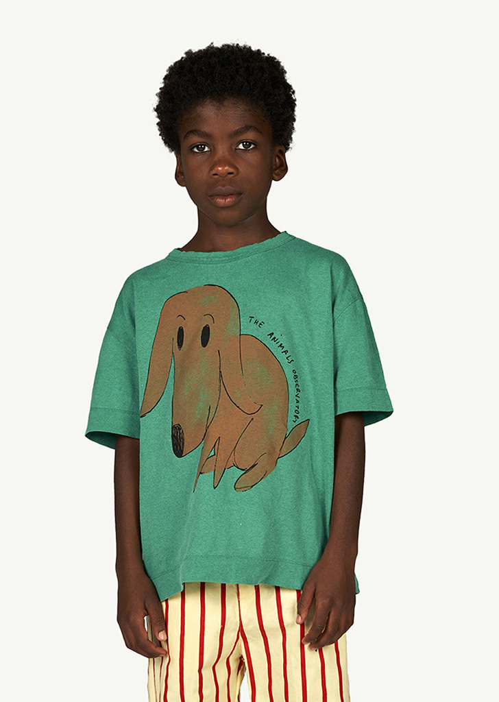Rooster Kids T_Shirt - Green &amp; Brown Dog_206_EK
