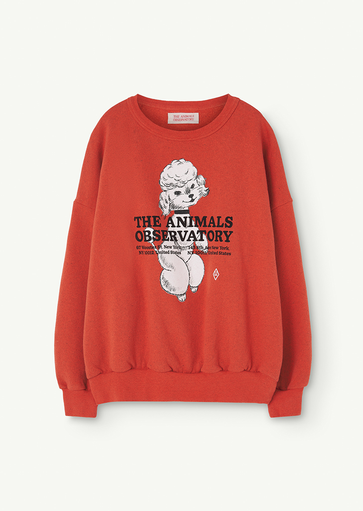 Big Bear Kids Sweatshirt Red_251_FN ★ONLY 4Y★