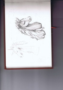unicorn Sketch