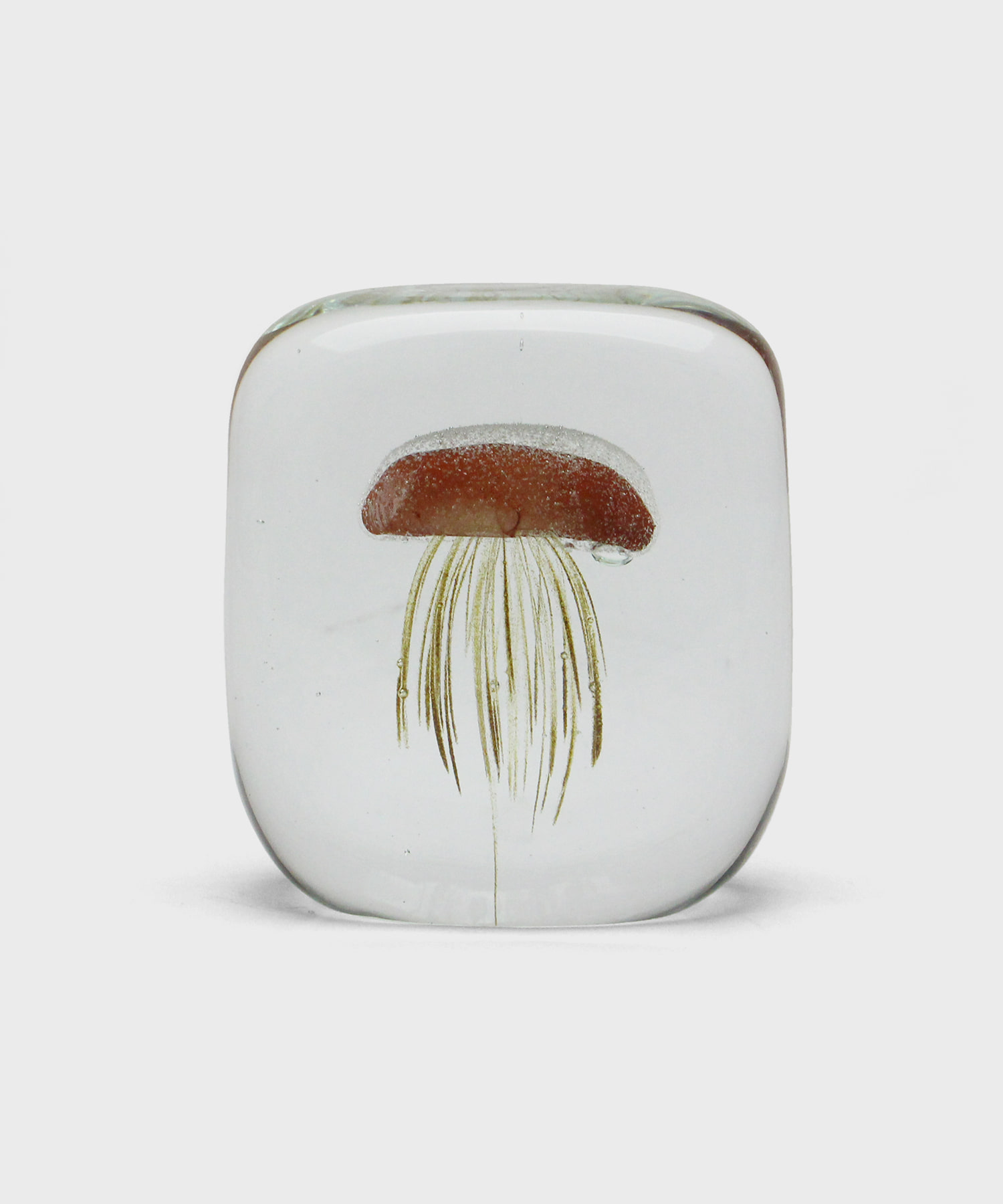 Jellyfish Paper Weight Square